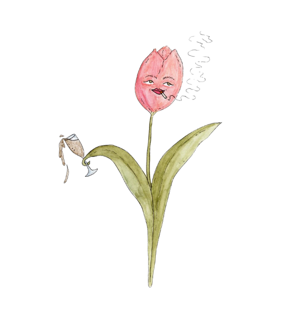 Illustration of a pink tulip with a face on a white background