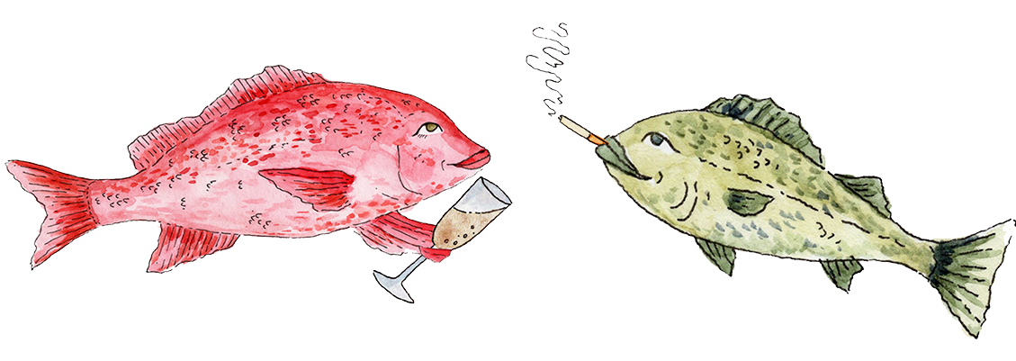 Illustration of a red fish and a green fish with a horn, both holding drinks.